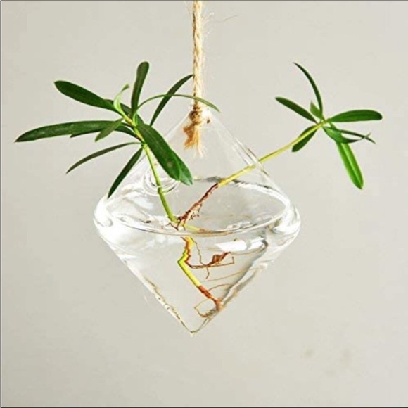Anthropologie 3 Pcs Glass Plant Pots Planters Hang - Picture 3 of 7